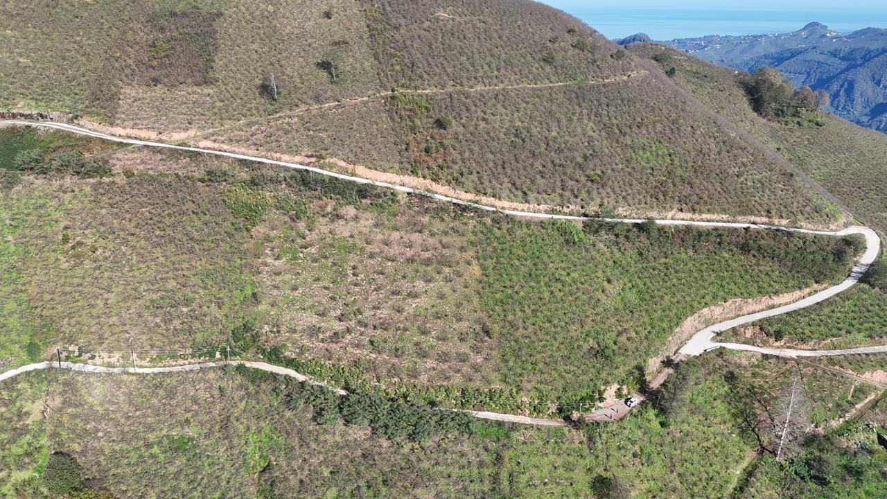 MABEL GAYRİMENKUL-ŞEYHMUSA KÖYÜ FIRSAT FINDIK BAHÇESİ